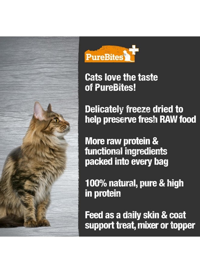 PureBites+ Freeze Dried Cat Treat 31g | Skin & Coat | 5 Ingredients | Made in USA - Image 4