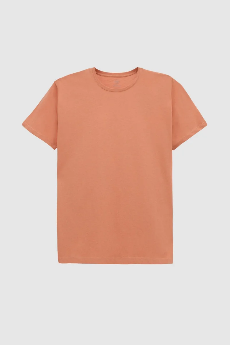 D'S DAMAT D'S Groom Slim Fit Cinnamon Crew Neck Cotton Breathable T-Shirt