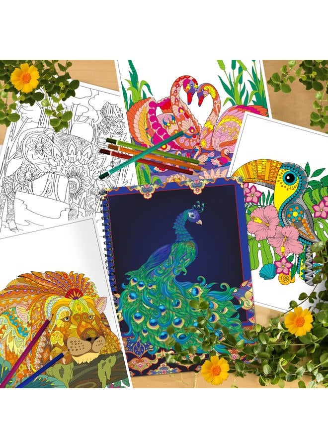 Kalysky Adult Coloring Books Set:3 Coloring Books for Adults Animal Flowers & Other Themes Designs.Coloring Books for Adults to Relax and Relieve Anxiety - Image 4