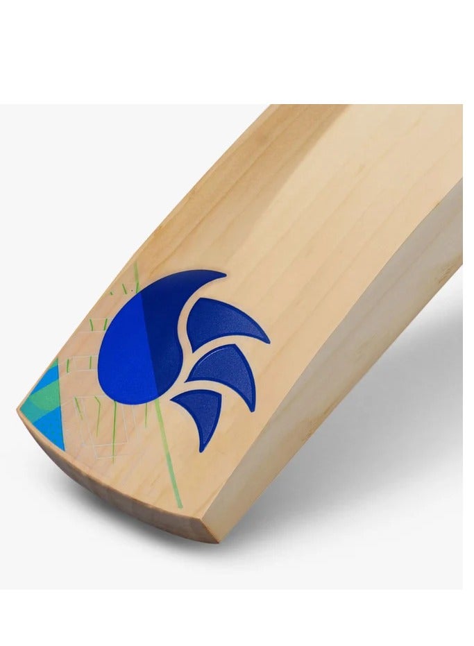 دي أس سي دي اس سي بلو 500 - Image 2