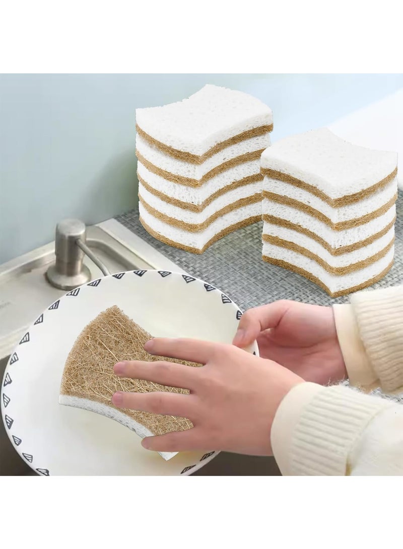 KASTWAVE Natural Sponges for Dishes, Reusable & Biodegradable Sponges for Washing Dishes, Non-Scratch Scrub Sponge Pads Dual-Sided Dishwashing Sponge for Kitchen Bathroom (1, 12 Pack Brown)  - Image 5