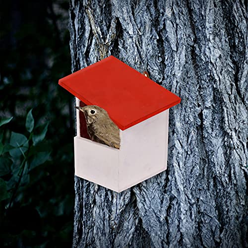 Cket Bird House for Sparrow, Hummingbird, Kingfisher Bird Nest for Balcony Made with Water Resistant Wooden with Hanging and Wall Patch (Wooden-Red) (Pack of 6) - Image 5