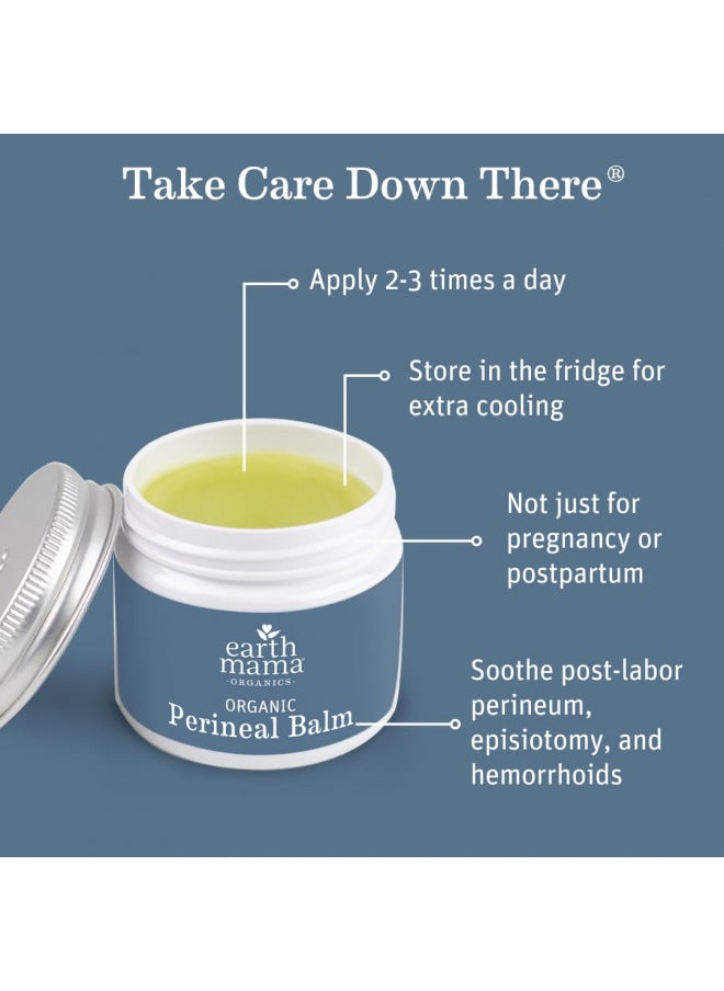 Earth Mama - Earth Mama Organic Perineal Balm for Pregnancy and Postpartum, 2-Fluid Ounce - Image 1