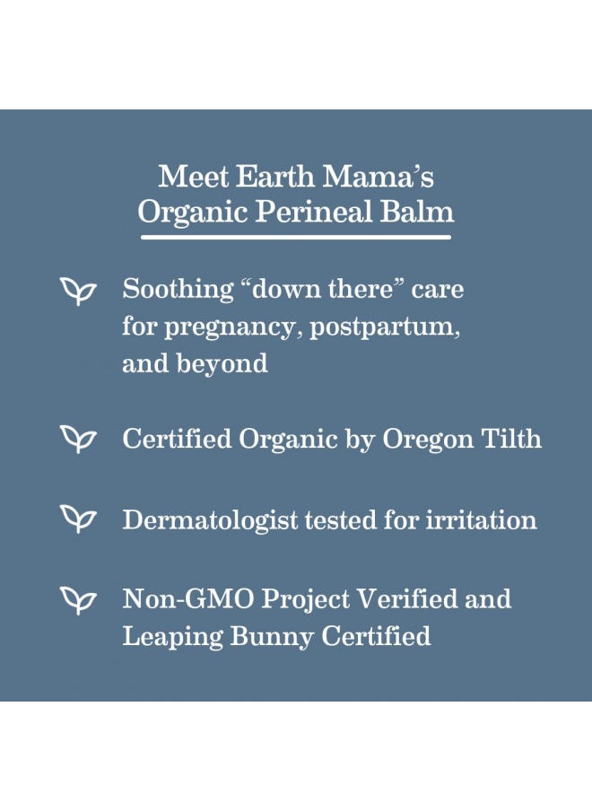 Earth Mama - Earth Mama Organic Perineal Balm for Pregnancy and Postpartum, 2-Fluid Ounce - Image 1