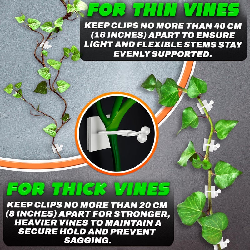 DIMROM 100Pcs Clear Plant Clips for Climbing Plants Indoor - White & Flexible Climbing Plant Wall Clips for Vines - Universal Size Vine Clip Set with Self-Adhesive Mount, Easy Installation and Strong Grip - Image 4