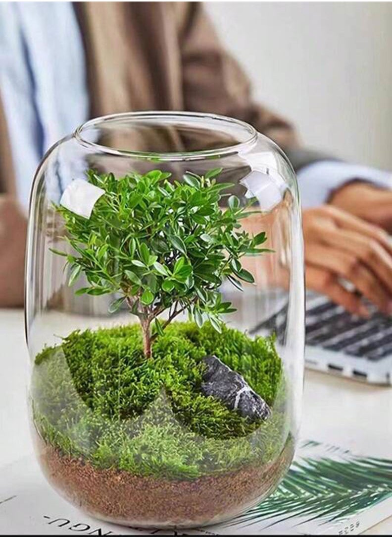 Generic Aquarium Terrarium glass tank 16x22cm clear  - Image 3