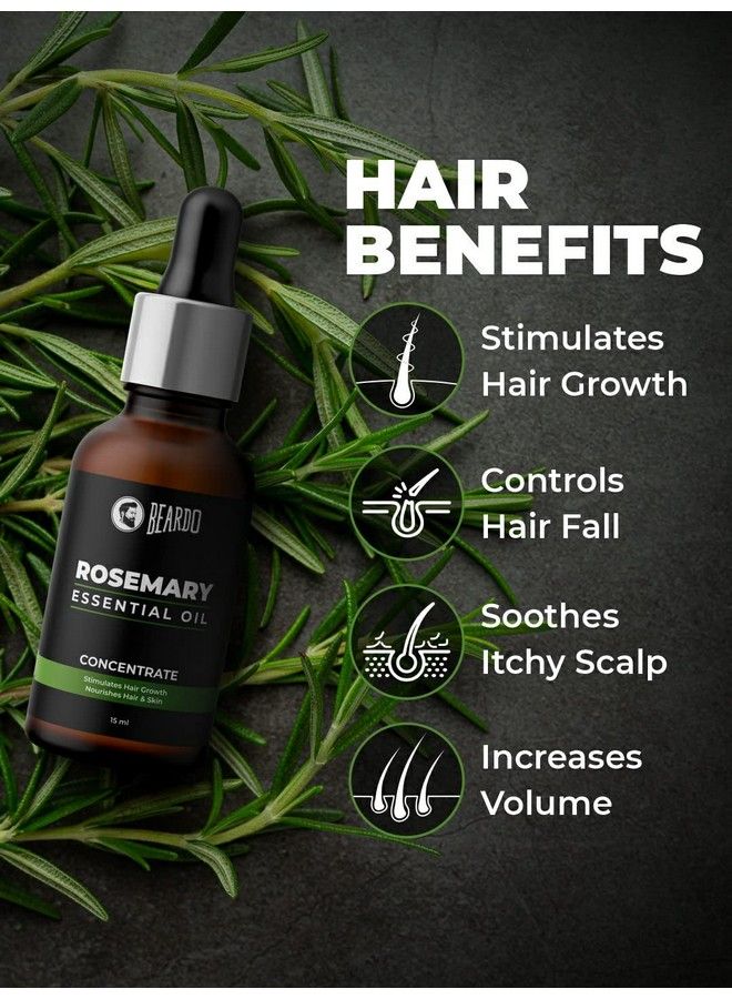 BEARDO Rosemary Essential Oil ; Hair Oil ; Rosemary Essential Oil For Hair Growth ; For Hair & Skin Nourishment ; 100% Natural ; Aroma Oil ; Rosemary Oil 15 Ml - Image 3