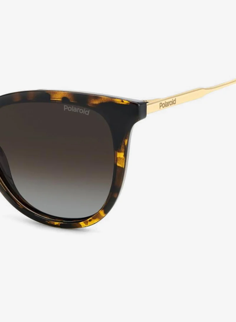 Polaroid  Rectangular Sunglasses Frames  | Best Price UAE