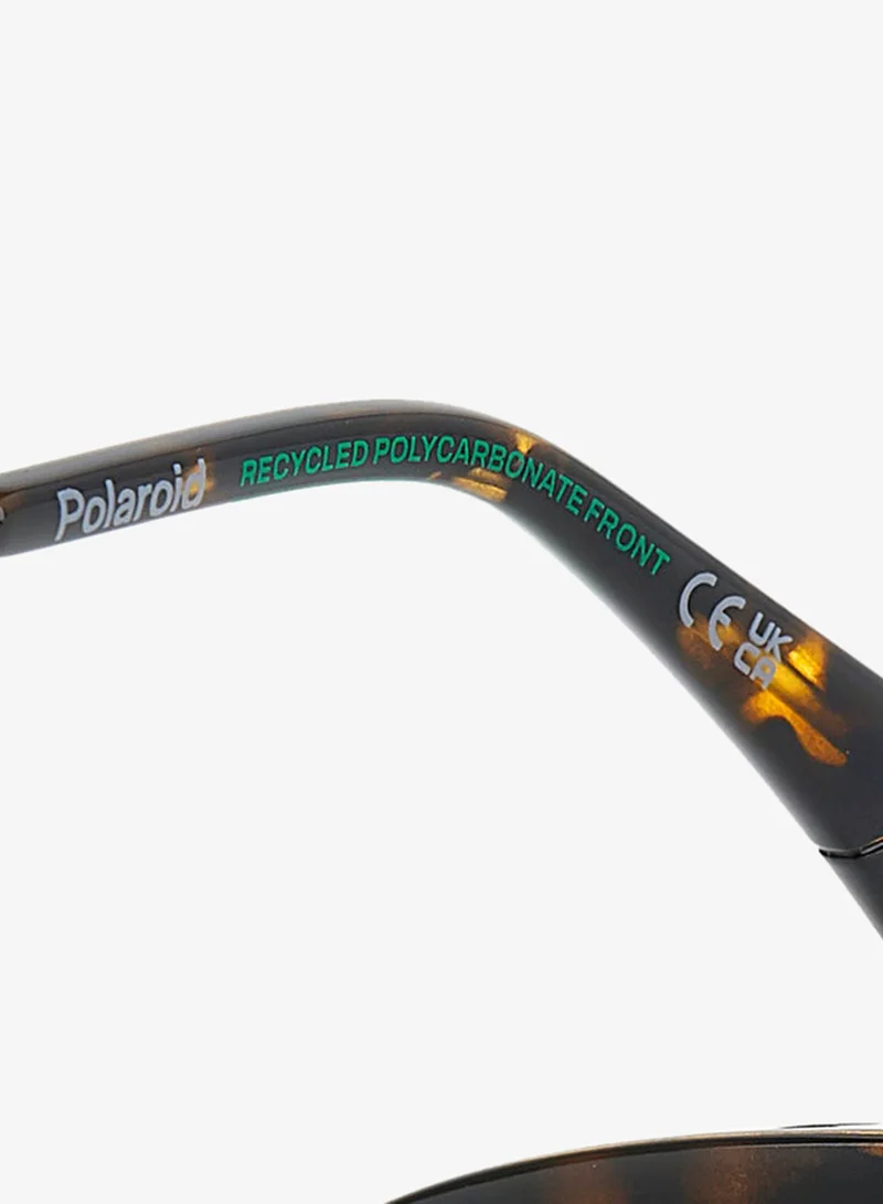 Polaroid  Rectangular Sunglasses Frames  | Best Price UAE