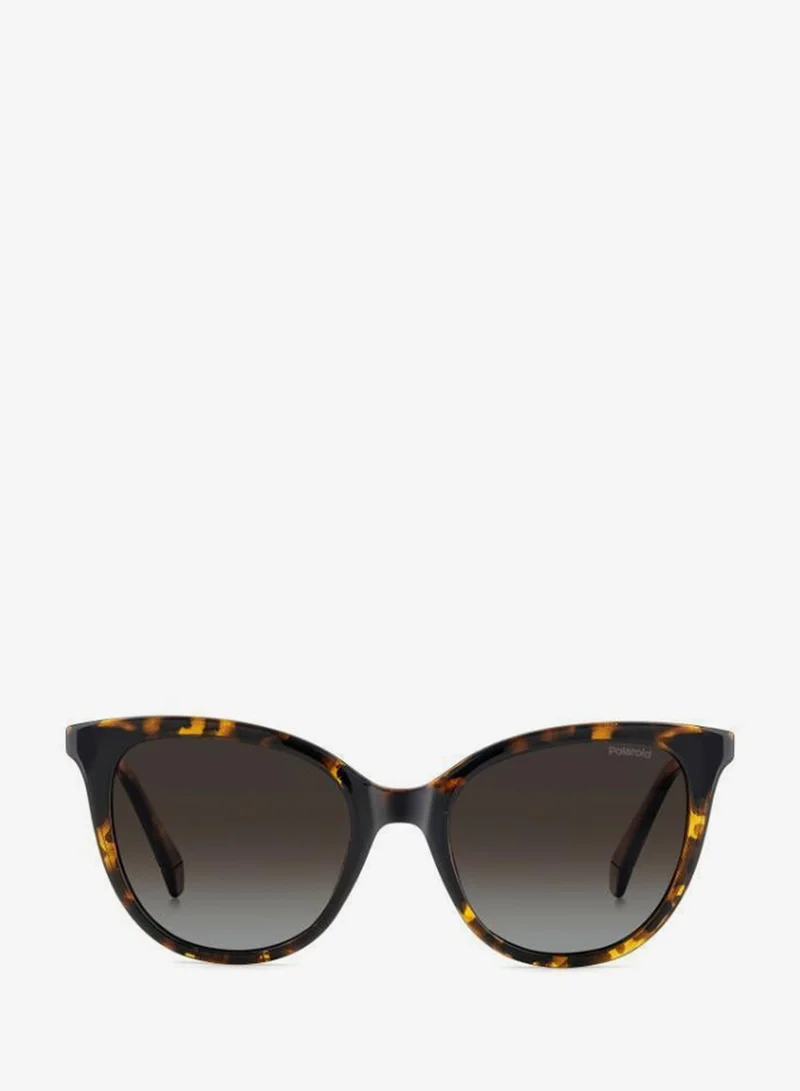 Polaroid  Rectangular Sunglasses Frames  | Best Price UAE