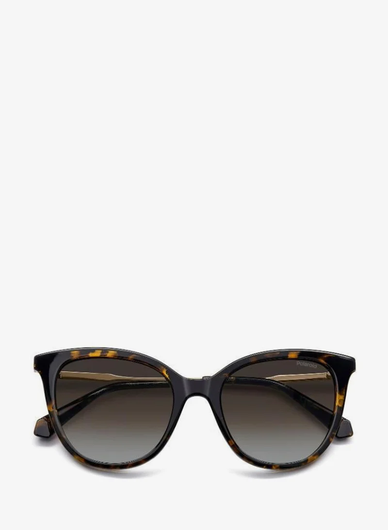 Polaroid  Rectangular Sunglasses Frames  | Best Price UAE