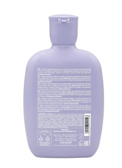 ALFAPARF MILANO Semi Di Lino Smoothing Sulfate Free Shampoo - Anti Frizz Hair Care & Cleansing Shampoo to Revitalize Dry Hair & Restore Shine - pzsku/Z29A75D16FA98C18E6D27Z/45/_/1738216035/ebf216e5-965c-4742-9903-6cc815c7b64e