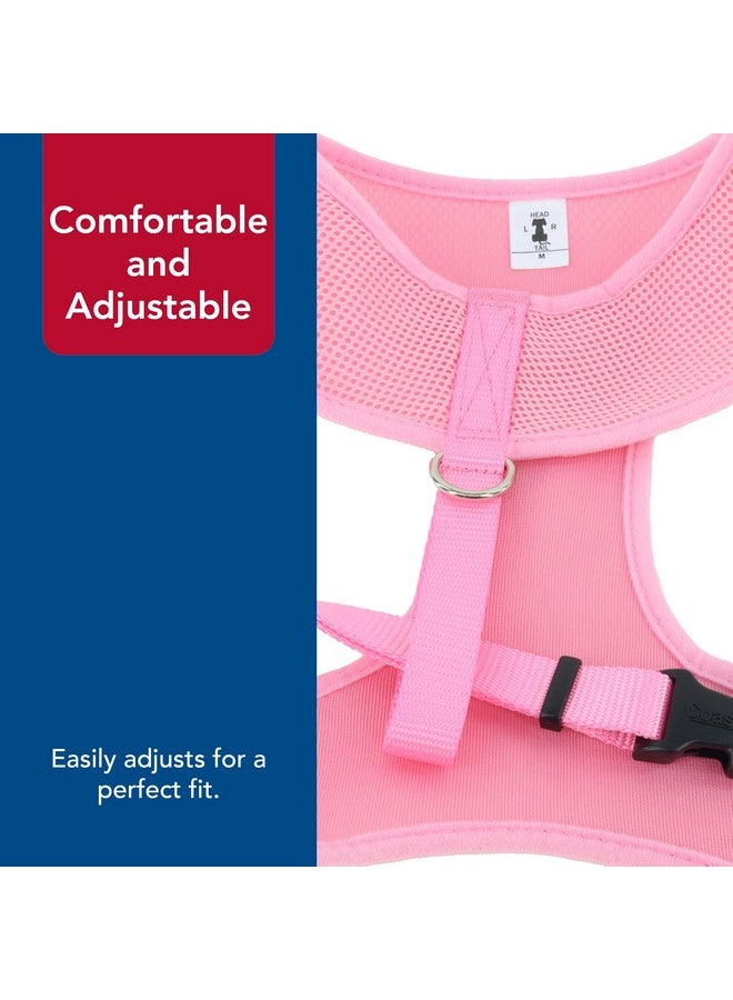 كوستال - حزام كلب مريح ناعم قابل للتعديل، أسود، 5/8 بوصة × 16 بوصة - 19 بوصة - Image 5