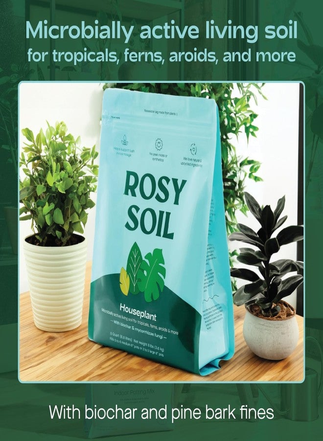Rosy Soil Indoor Potting Soil for House Plants - Organic Potting Soil Mix for Indoor Plants - Enriched w/Root-Boosting Biochar for Foliage Plants, Flowers, Herbs - Peat Free, Less Prone to Gnats - 8qt - Image 2