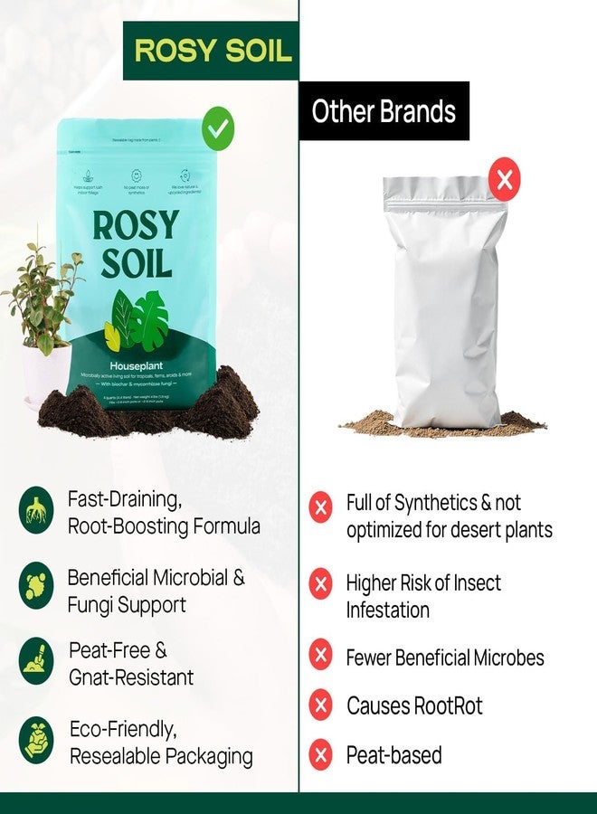 Rosy Soil Indoor Potting Soil for House Plants - Organic Potting Soil Mix for Indoor Plants - Enriched w/Root-Boosting Biochar for Foliage Plants, Flowers, Herbs - Peat Free, Less Prone to Gnats - 8qt - Image 3