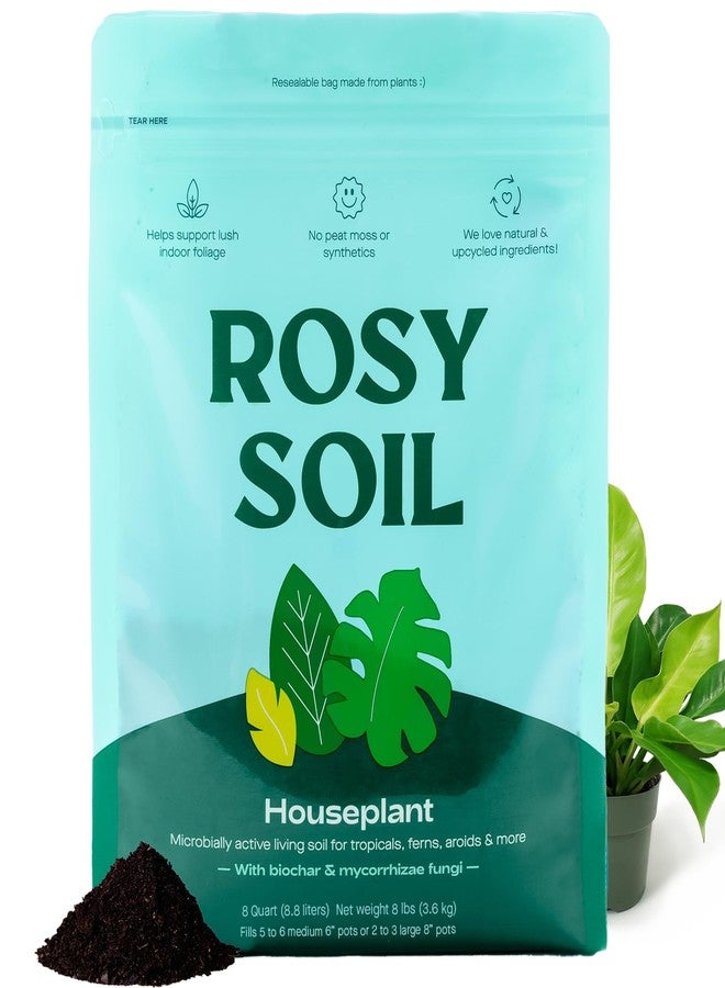 Rosy Soil Indoor Potting Soil for House Plants - Organic Potting Soil Mix for Indoor Plants - Enriched w/Root-Boosting Biochar for Foliage Plants, Flowers, Herbs - Peat Free, Less Prone to Gnats - 8qt - Image 1
