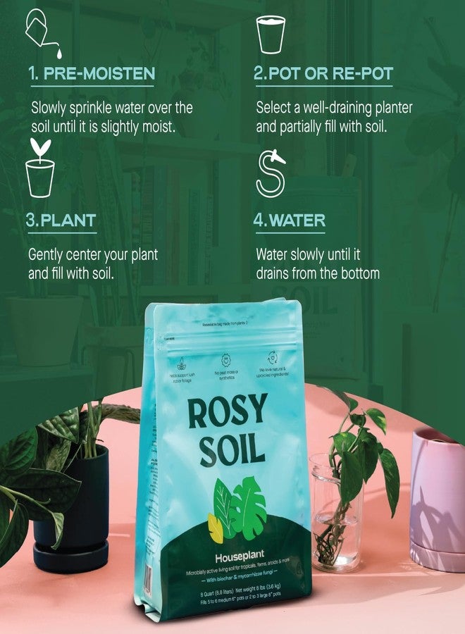 Rosy Soil Indoor Potting Soil for House Plants - Organic Potting Soil Mix for Indoor Plants - Enriched w/Root-Boosting Biochar for Foliage Plants, Flowers, Herbs - Peat Free, Less Prone to Gnats - 8qt - Image 5