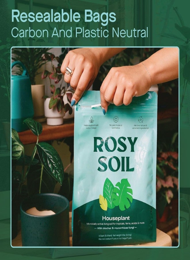 Rosy Soil Indoor Potting Soil for House Plants - Organic Potting Soil Mix for Indoor Plants - Enriched w/Root-Boosting Biochar for Foliage Plants, Flowers, Herbs - Peat Free, Less Prone to Gnats - 8qt - Image 4