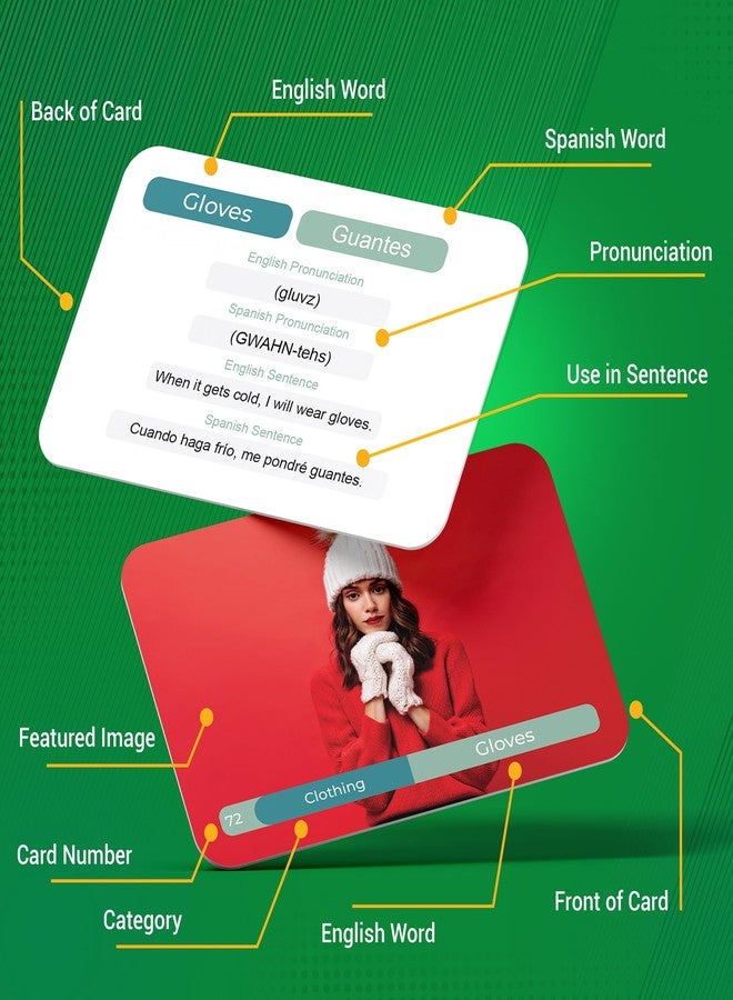 بريستون بطاقات تعليمية لمفردات اللغة الإسبانية - 300 كلمة وجملة للمبتدئين والكبار - تعلم اللغة الإسبانية مع دليل النطق - مساعدة دراسية للفصول الدراسية، ومتعلمي اللغة الإنجليزية كلغة ثانية، والتعليم المنزلي، والتعلم أثناء السفر - بريستون - Image 2