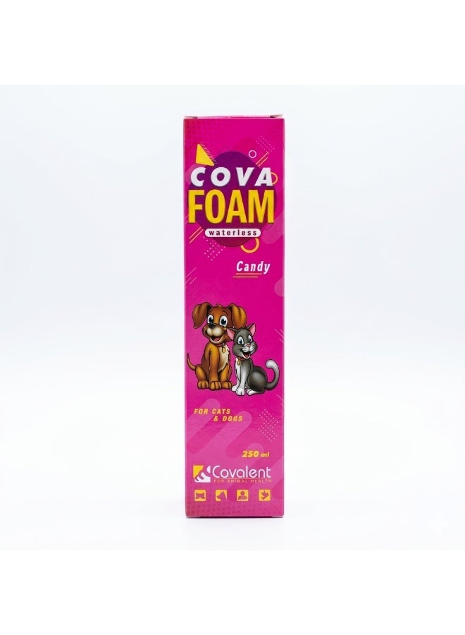 كوفا شامبو كوفا فوم (Cova Foam) الجاف للكلاب والقطط – رغوة استحمام سريعة بدون شطف – تنظيف وإزالة روائح بدون عناء – غني بالزيوت الأساسية والبيوتين لمعطف صحي – 250 مل برائحة الحلوى - Image 5