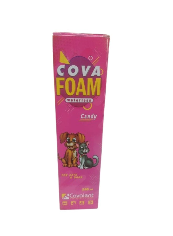 كوفا شامبو كوفا فوم (Cova Foam) الجاف للكلاب والقطط – رغوة استحمام سريعة بدون شطف – تنظيف وإزالة روائح بدون عناء – غني بالزيوت الأساسية والبيوتين لمعطف صحي – 250 مل برائحة الحلوى - Image 2