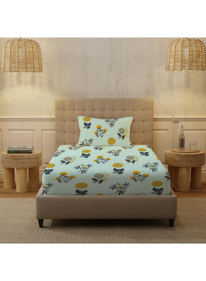 Urban Space ملاءة سرير قطن 100% بتقنية 200 TC من أوربان سبيس لسرير مفرد مع غطاء وسادة واحد، ملاءة مفردة (لون أزرق سماء مشع، الحجم 58 x 90 بوصة) - Image 2