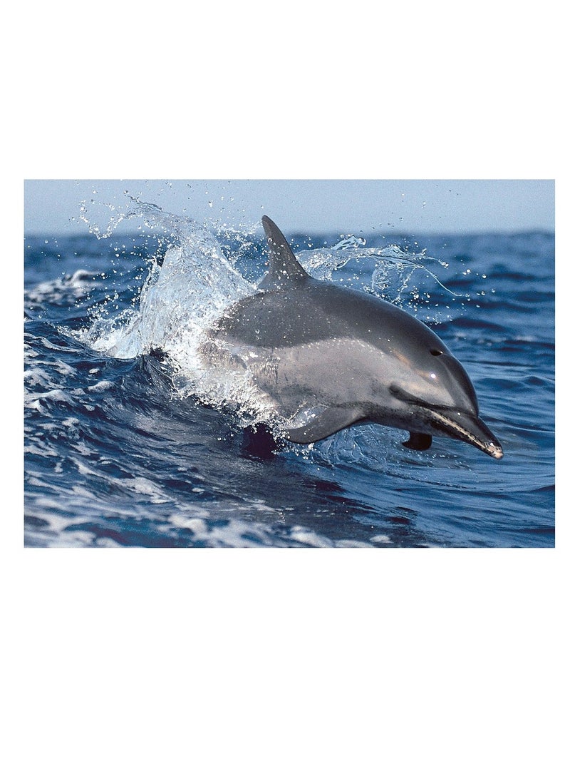 TOMAX Tomax - Dolphin Play Puzzle 300 Pieces - 30-060 - Image 2