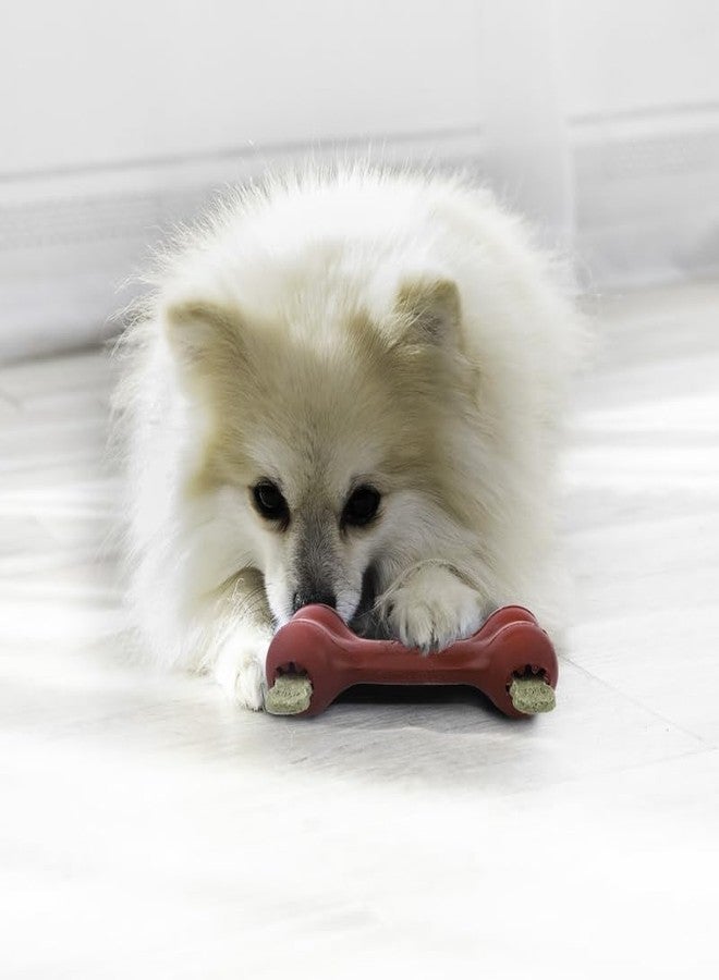 كونج عظمة كونغ جودي الصغيرة، عبوة من قطعتين - عظمة كلاب كلاسيكية متينة من المطاط الطبيعي - موزع للمكافآت - أحمر - للكلاب الصغيرة (عبوة من قطعتين) - Image 2