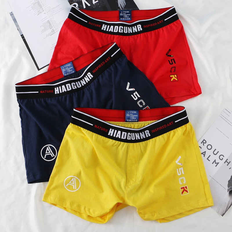 2025 Cotton Men's Boxer Briefs - Image 3