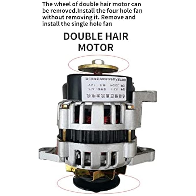 OLONETO 2000W 12V/24V Permanent Magnet DC Brushless Alternator, Pure Copper Core, Low Noise, Dual Shaft, For Single Cylinder Diesel Engines, Automotive And Agricultural Use(24V) - Image 5