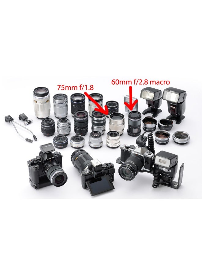 JURASSIC WORLD CAPTIVZ Hatchlings Edition 14pcs Incubator CDU - Image 2