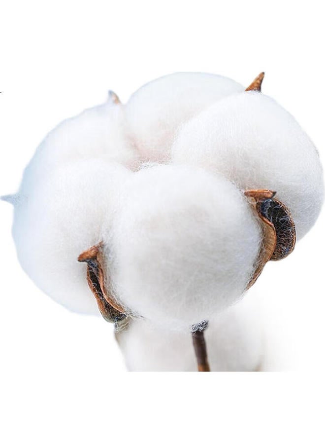 FIRS Men's Four Seasons Long Sleeve Shirt Dp Non-iron Business Turn-down Collar Shirt Skin-friendly Soft Smooth Inner Top - Image 3