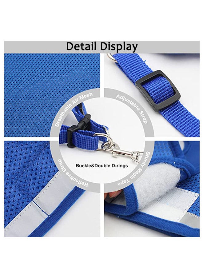 Neostyle Dog Harness with Leash Set,No Pull Adjustable Reflective Step-in Puppy Harness with Padded Vest for Small Medium Large Dogs and Cats ( Blue(2-piece set))  - Image 5