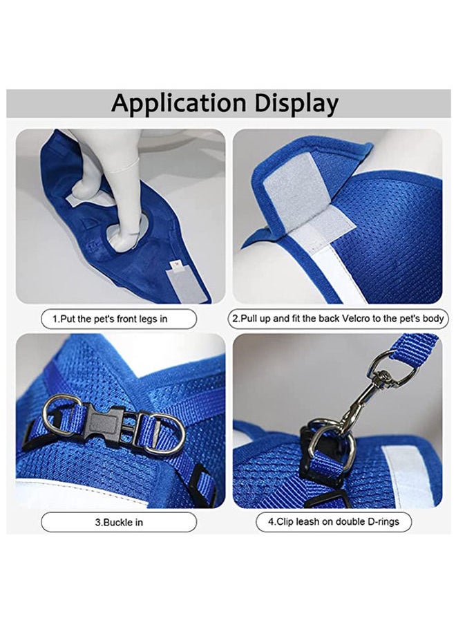 Neostyle Dog Harness with Leash Set,No Pull Adjustable Reflective Step-in Puppy Harness with Padded Vest for Small Medium Large Dogs and Cats ( Blue(2-piece set))  - Image 4