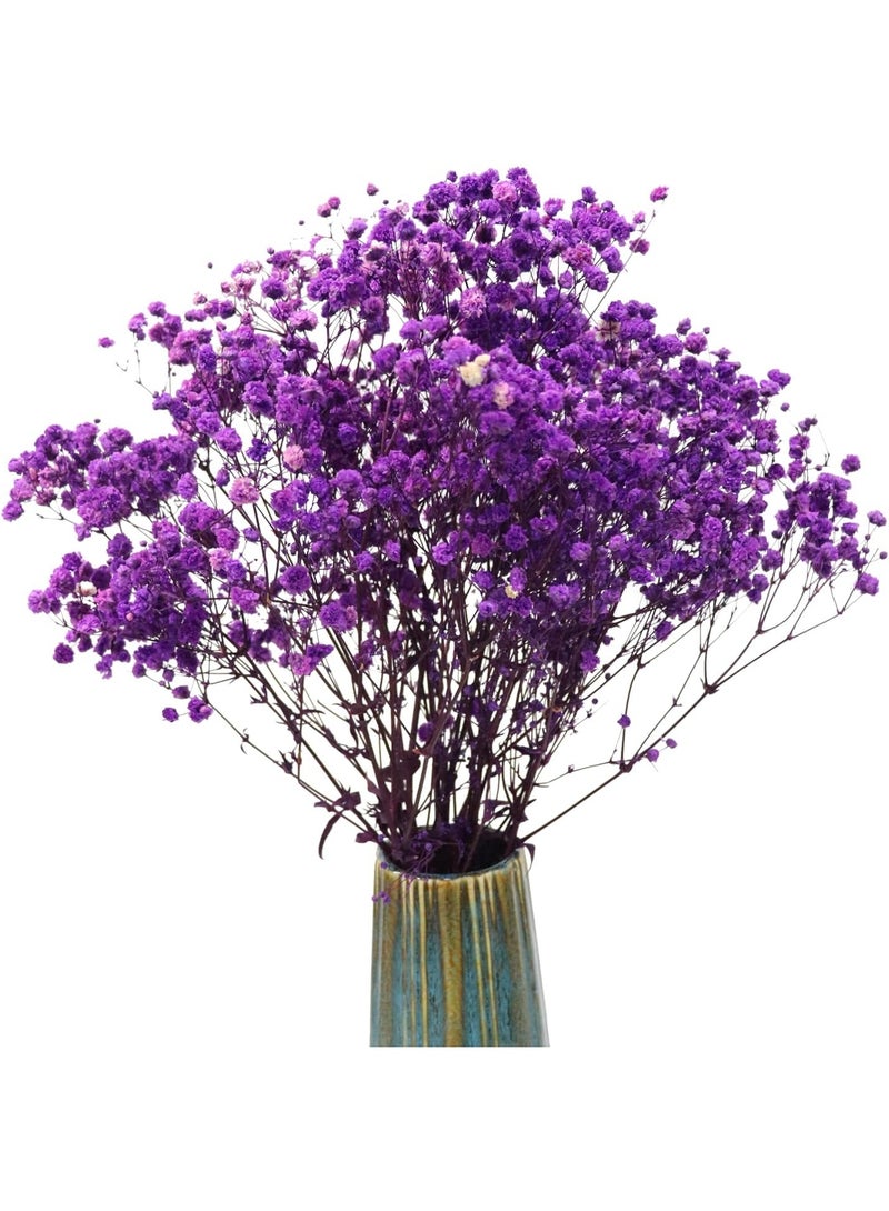 Purple Natural Dried Babys Breath Gypsophila Flowers Bouquet for Home Decor Real Dried Flowers - Image 1