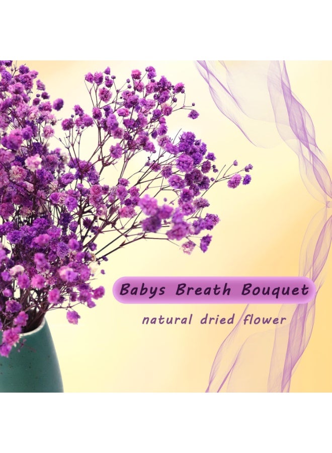 Purple Natural Dried Babys Breath Gypsophila Flowers Bouquet for Home Decor Real Dried Flowers - Image 2