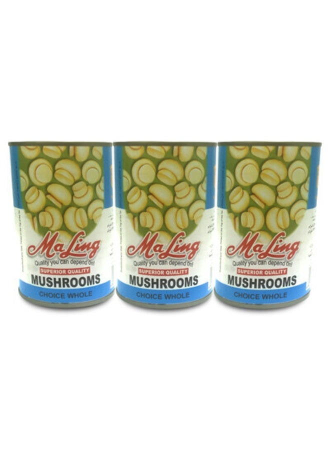 Whole Mushrooms Easy Open Can, 3x425g