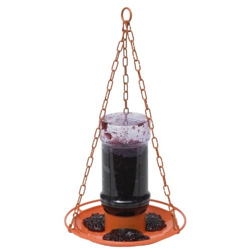 Perky-Pet 253 Wild Oriole Jelly Bird Feeder - 32 Ounce Feeder Capacity - Image 1