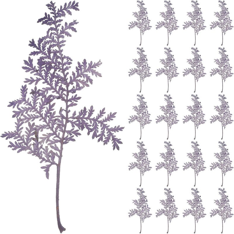 48pcs Natural Dried Artemisia Violet Leaves for Crafting DIY Pressed Leaves Plant Material Multi-Function Accessory for Scrapbooking Card Making and Home Décor - Image 1