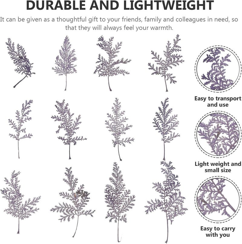 48pcs Natural Dried Artemisia Violet Leaves for Crafting DIY Pressed Leaves Plant Material Multi-Function Accessory for Scrapbooking Card Making and Home Décor - Image 3