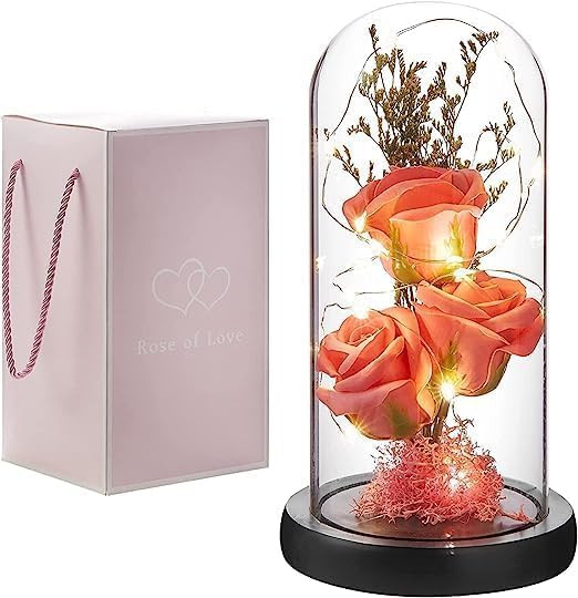 JRS TRADERS Rose Flower Gifts for WomenBirthday WomenColorful Rainbow Artificial Light Up in Acrylic DomeWomen GiftsValentinesAnniversaryWedding Rose Flower Gift Natural - Image 1