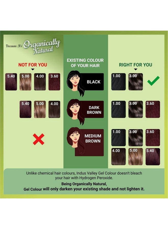 Indus Valley Natural Organic Damage Free Gel Hair Color Ammonia Free Vegan & Cruelty Free Up To 100% Gray Coverage Long Lasting Results Black 1.0 (20Gram+200Ml) - Image 3