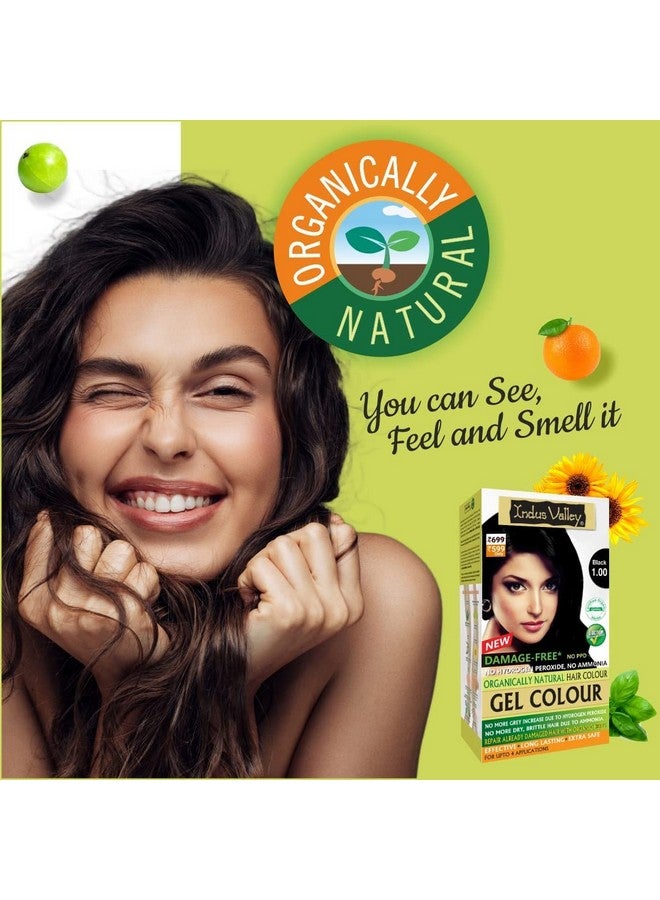 Indus Valley Natural Organic Damage Free Gel Hair Color Ammonia Free Vegan & Cruelty Free Up To 100% Gray Coverage Long Lasting Results Black 1.0 (20Gram+200Ml) - Image 2