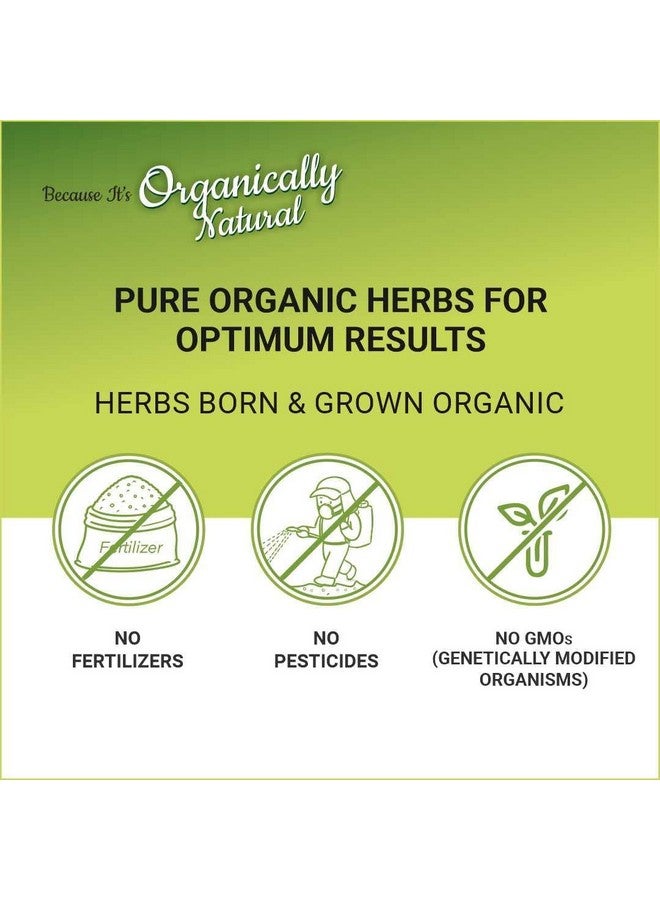 Indus Valley Natural Organic Damage Free Gel Hair Color Ammonia Free Vegan & Cruelty Free Up To 100% Gray Coverage Long Lasting Results Black 1.0 (20Gram+200Ml) - Image 4