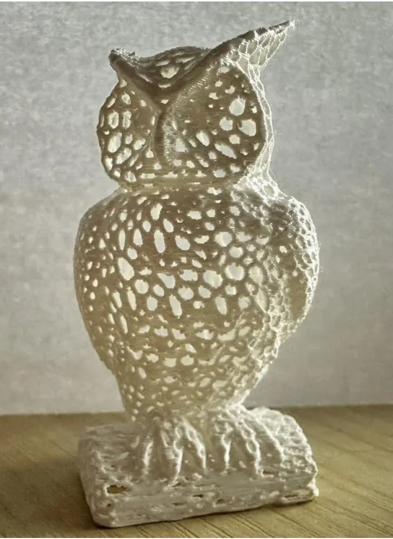 3D Brothers Voronoi Owl - Intricate Geometric Home Decor Sculpture 