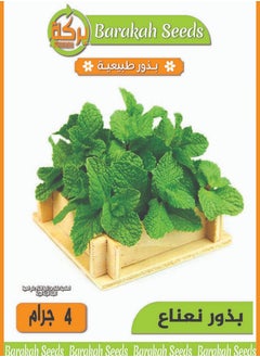 Generic High germination rate seeds - local mint 