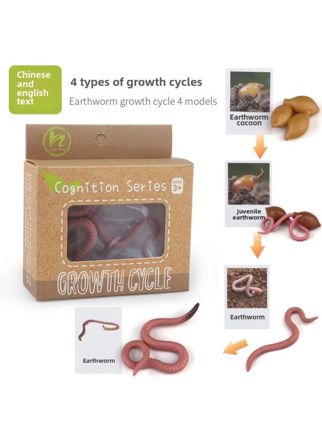 Realistic Simulation Animal Plant Models Toy Collection - Dinosaurs Dragons Unicorns Mermaids Sharks More-Color:PL127-2427 Earthworm Growth Cycle + Chinese Card + Color Box  - Image 1