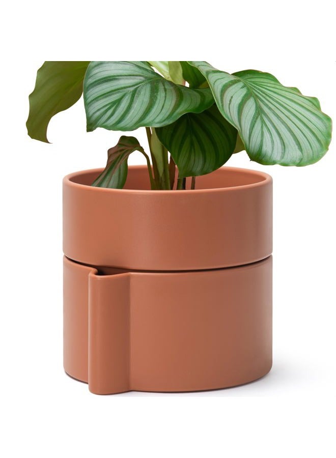 Phoenix Vine 8 Inch Self-Watering Planter Pot with Terracotta Insert, Deep Water Reservoir, and Ceramic-Alike BPA-Free Plastic Planter Pot for Plant, Modern Planter for Houseplants, Terracotta, 53-A-T-3 - Image 1
