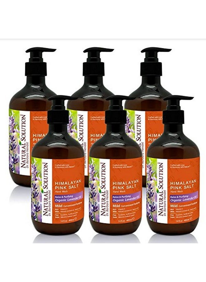 Natural Solution - Hand Soap Organic Lavender Oil (6Pack) - Image 1