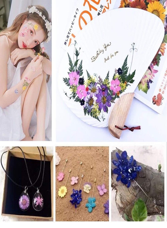 أونيفون أزهار مجففة طبيعية مضغوطة من Aunifun، أزهار مجففة طبيعية متنوعة من زهور الأقحوان الملونة للأعمال الفنية والحرف اليدوية وقوالب راتنج الزهور (وردي) - Image 5